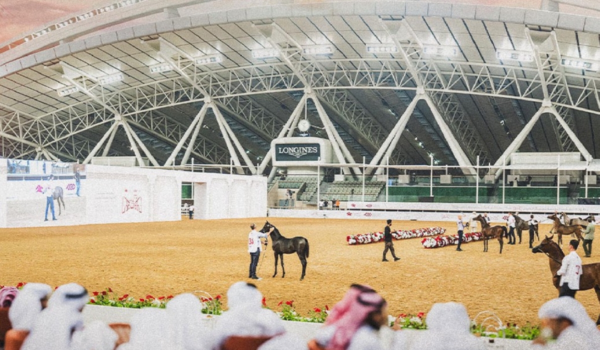 Al Shaqab to Host Fourth International Arabian Horse Show in November